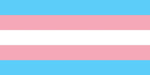  Transgender Pride Flag